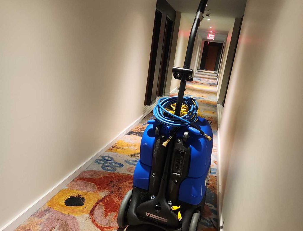 Carpet Cleaning Service St Petersburg Fl