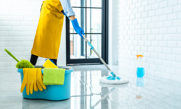 Cleaning Companies in St Petersburg Fl