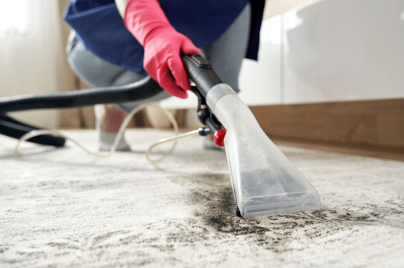 carpet cleaning